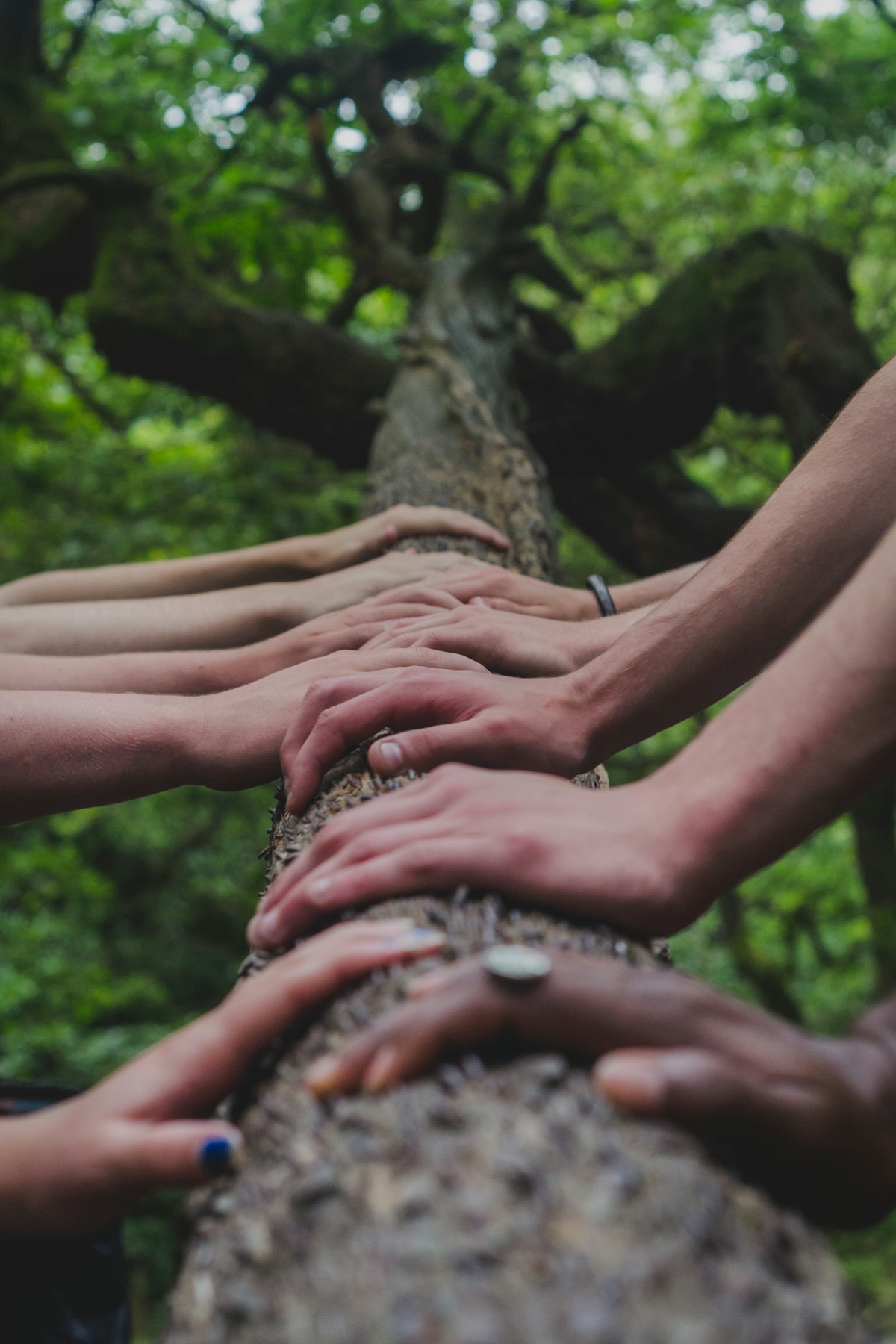 Unity